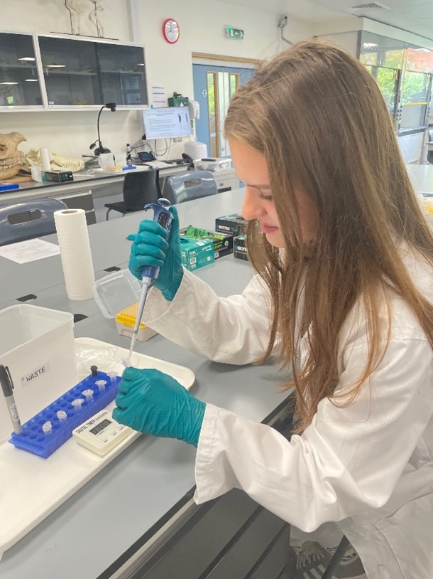 student filling test tubes