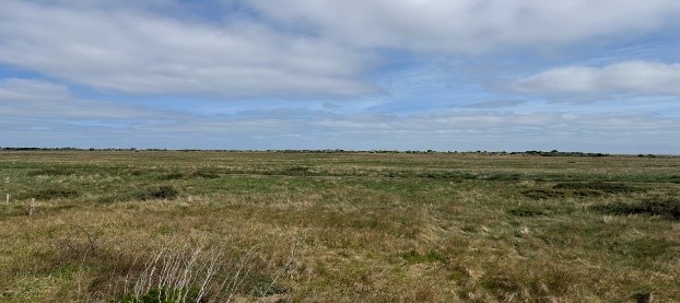 view of sky and grassland