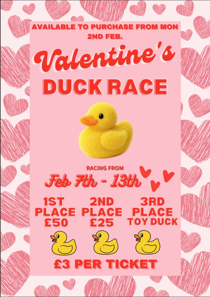 poster: fundraising event of valentine's duck race