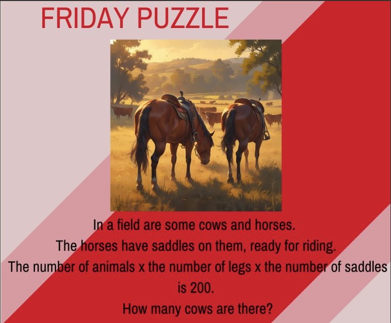 friday maths puzzle